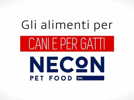 Necon – Pet Food