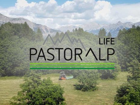 Pastoralp – Parc National Des Ecrins