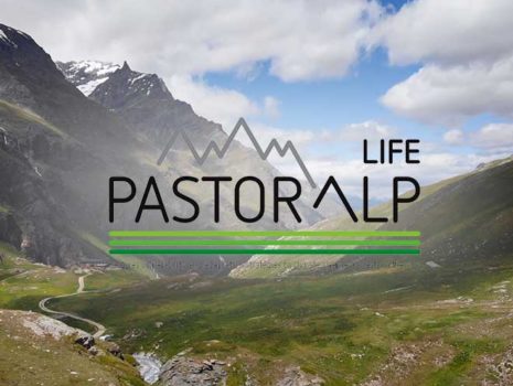 Pastoralp – Parco Nazionale Gran Paradiso